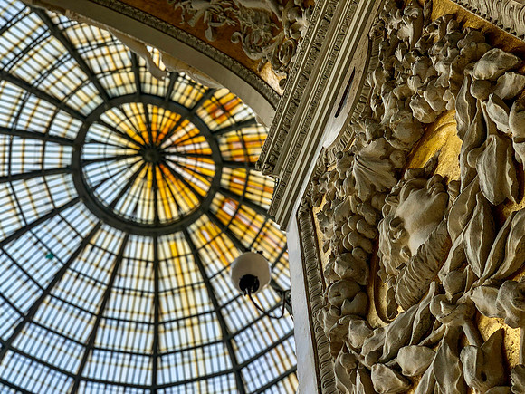 IMG_7535