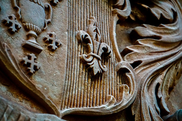 DSC06220