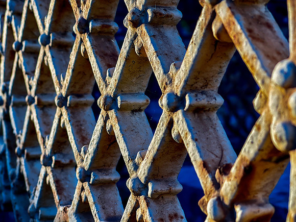 IMG_2313