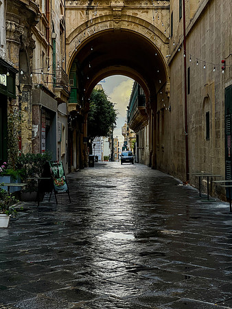 IMG_2601