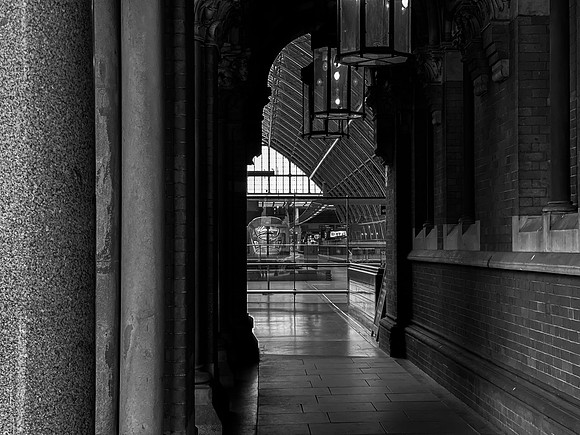 IMG_7525