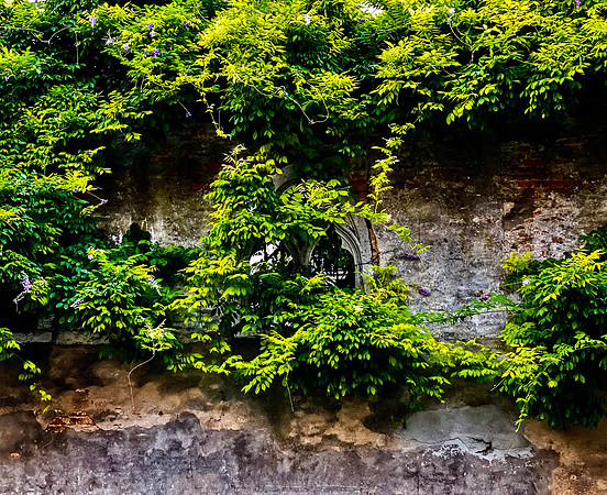 C120B3BF-47D8-4EE9-AC24-8778AAE48883_1_201_a