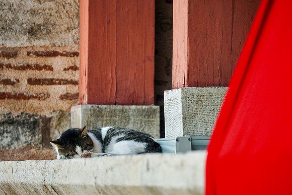 DSC08955
