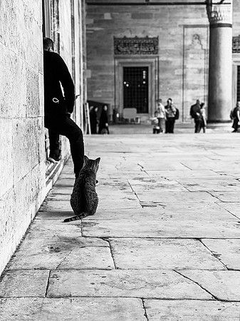 IMG_2288