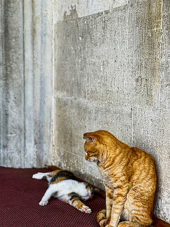 IMG_3072