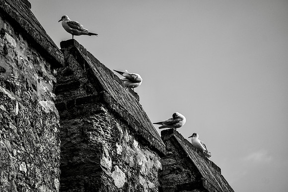 D39710E0-AF0B-4661-BD6D-1B0B715DBB4C_1_201_a