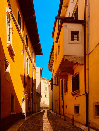 IMG_6651