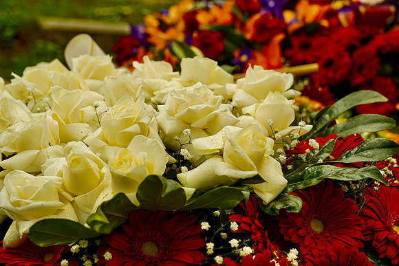 DSC01908