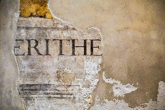 DSC03455