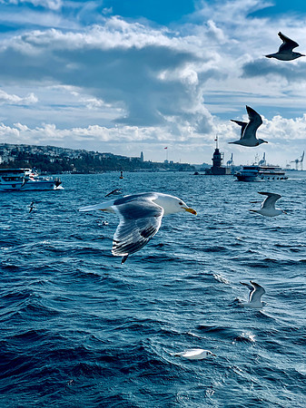 B4447D30-8B63-4577-BC01-5C4E3EF8D55C_1_201_a