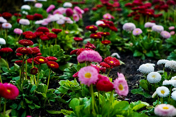 DSC00142