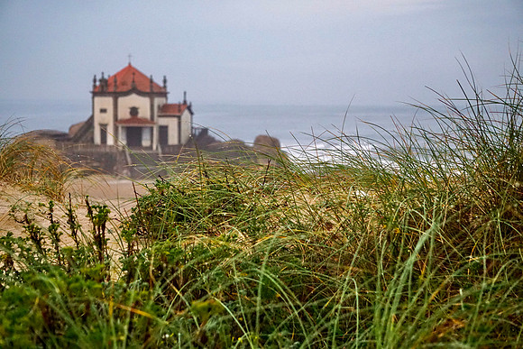 DSC01004
