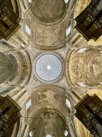 IMG_5264