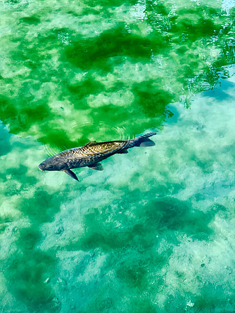 D885662E-EE7D-4B56-BFB5-826CA2B72EBF_1_201_a