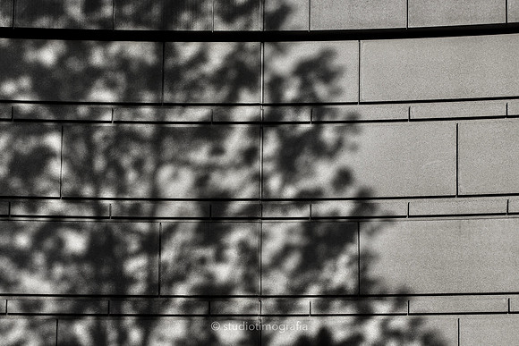 1DF9879D-66C8-4242-85AF-B5B988F66B3E_1_201_a