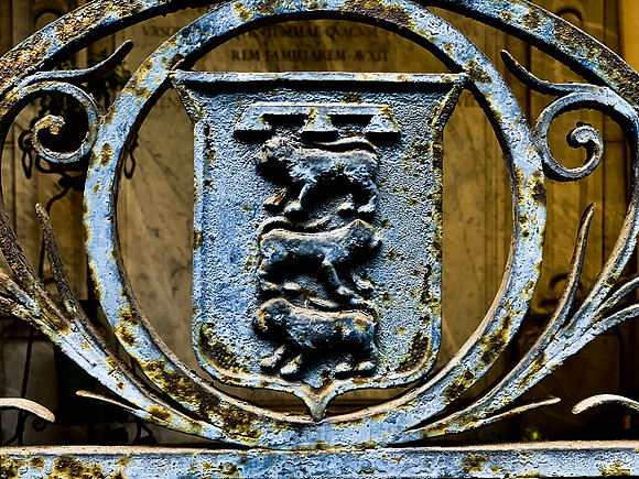 IMG_7946