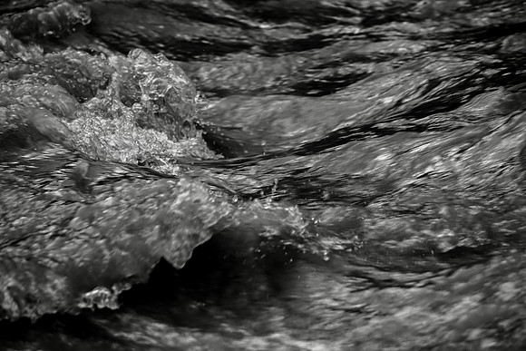 50F3054E-2655-41F4-8889-B095B7A6B8BE_1_201_a